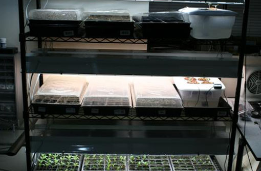Arduino Automatic Plant Grow Center
