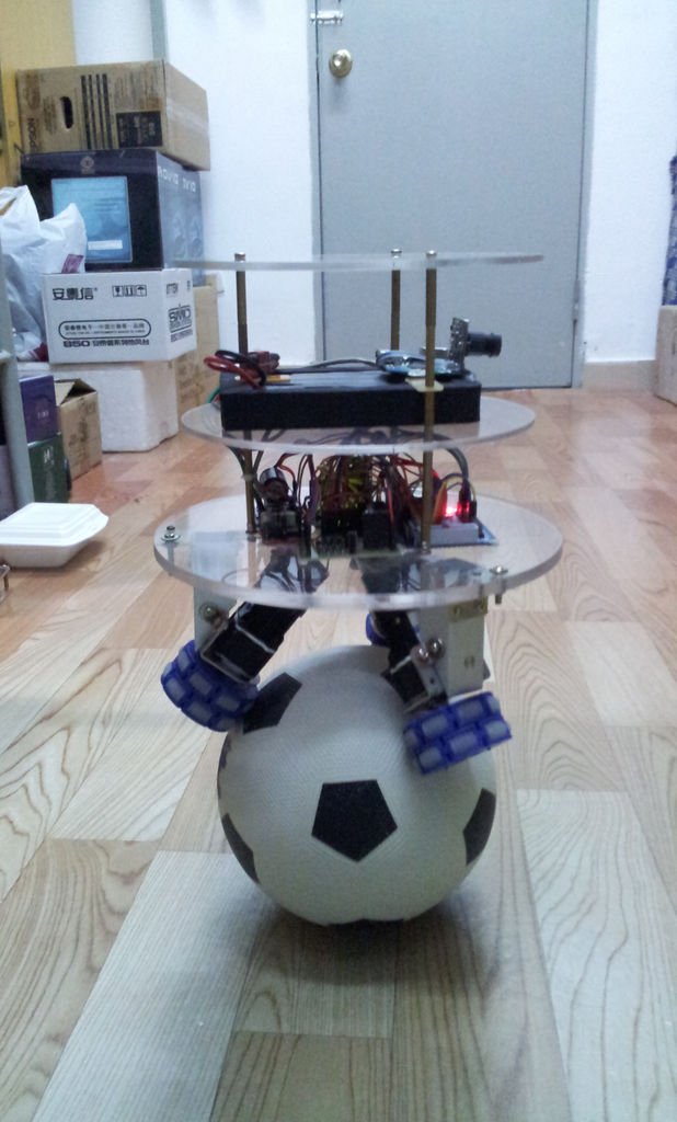 Ball-Balancing Robot