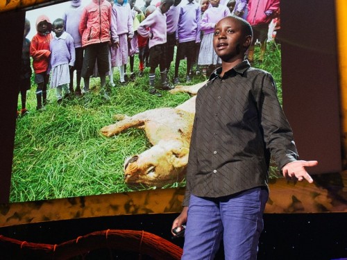 Richard Turere Invents Livestock Protection Device