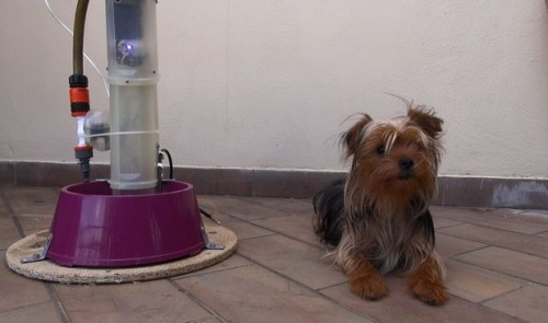 Automatic Pet Water Bowl Project
